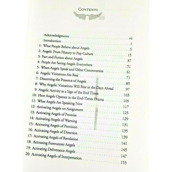 Angels on Assignment Again Gods Real Life Guardians of Saints Christian Book - Picture 6 of 11